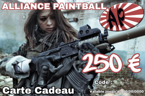 Chèque cadeau 250 €