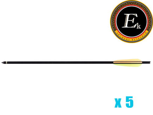 5 carreaux aluminium EK Archery 20"