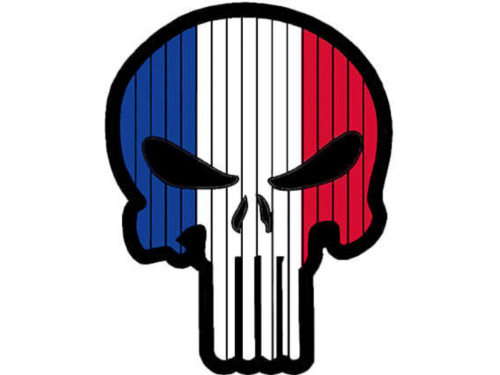 Patch Punisher Skull France